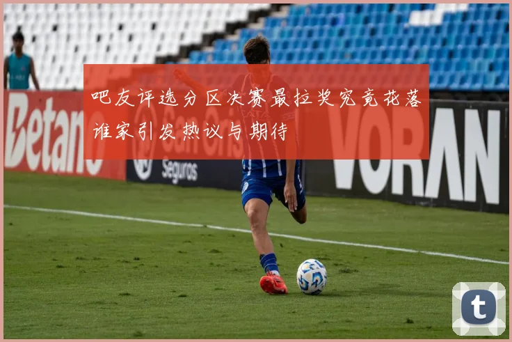 吧友评选分区决赛最拉奖究竟花落谁家引发热议与期待